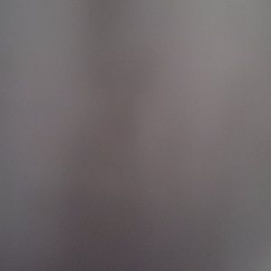 Meet your Posher, Felix